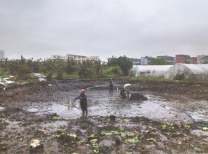 三明河道鱼塘清淤